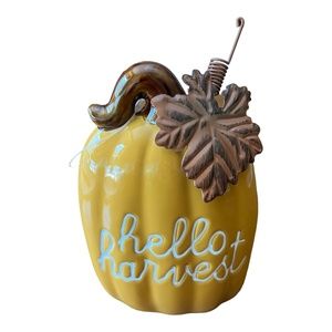 NWT Ashland Fall Pumpkin Tabletop Decor